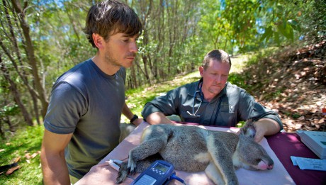 Australia With Simon Reeve: Episode 03