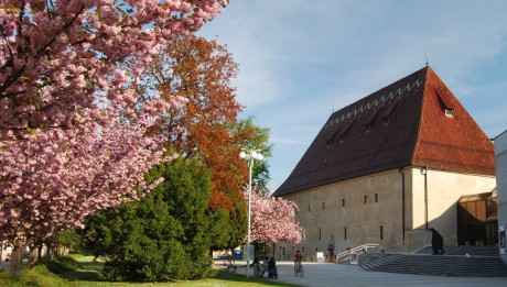 Zámek Litoměřice