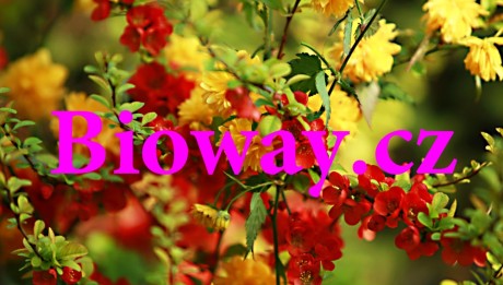 bioway2