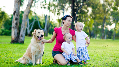 Mother and her two sons in the park with a golden retriever