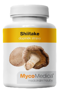 Shiitake