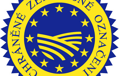 logo_PGI_cz