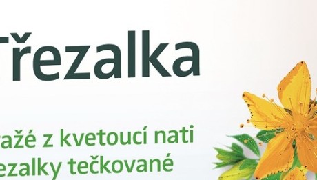 Třezalka