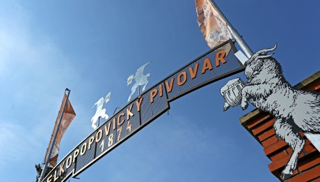 Pivovar VP