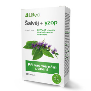 Liftea_Salvej_yzop