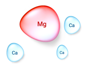 Mg