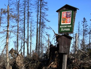 Národní park Šumava