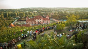 Vinobraní v botanické