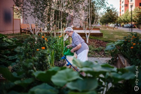 projekt Botanicula