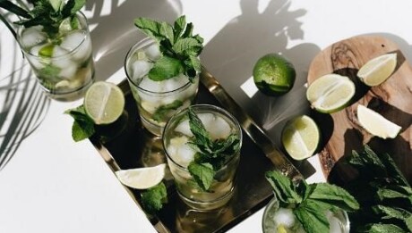 Bio virgin mojito