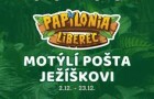 Motýlí pošta Ježíškovi: Kouzelný způsob, jak poslat vánoční přání