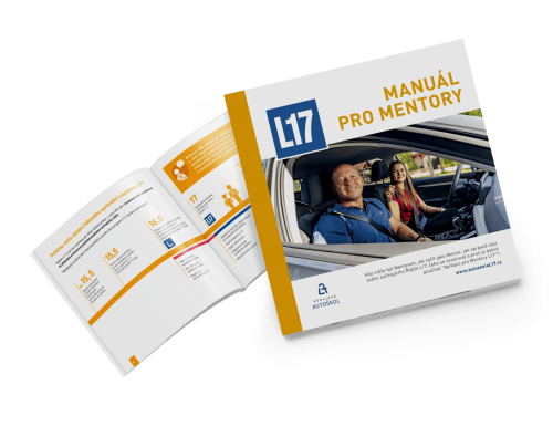 Manual L17